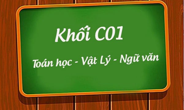 c01-hom-nhung-nganh-nao-hoc-gi-o-dau-ra-truong-lam-gi